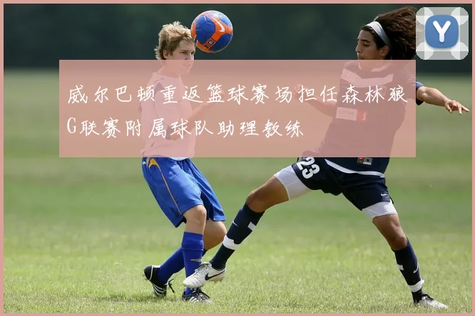 威尔巴顿重返篮球赛场担任森林狼G联赛附属球队助理教练