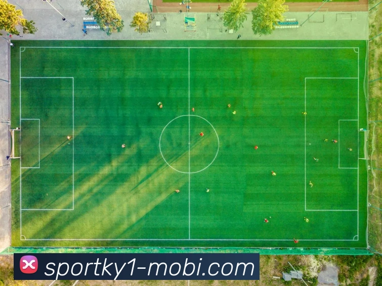 开云体育发展历程